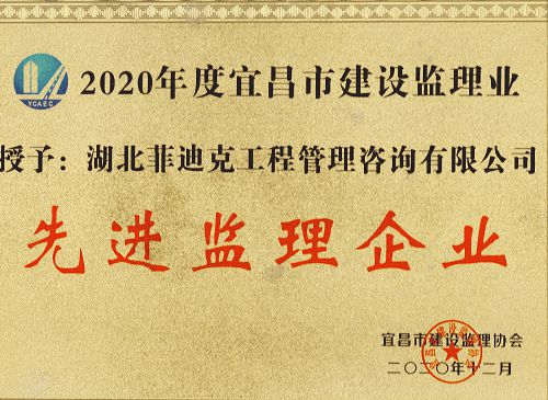 2020年度宜昌市建設監理業先進監理企業
