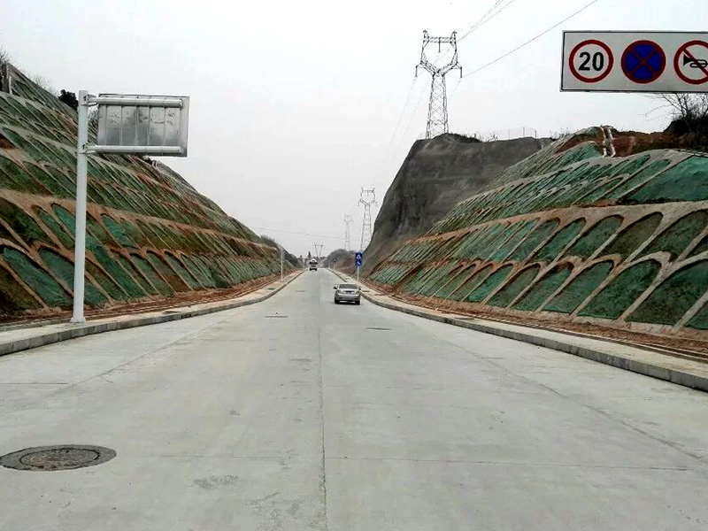 伍家崗工業園金花路市政項目
